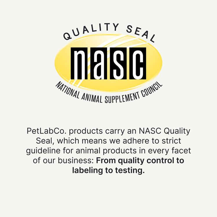 Probiotics for dogs – soft chews for gut & digestive health