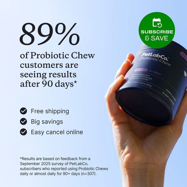 Probiotics for dogs – soft chews for gut & digestive health