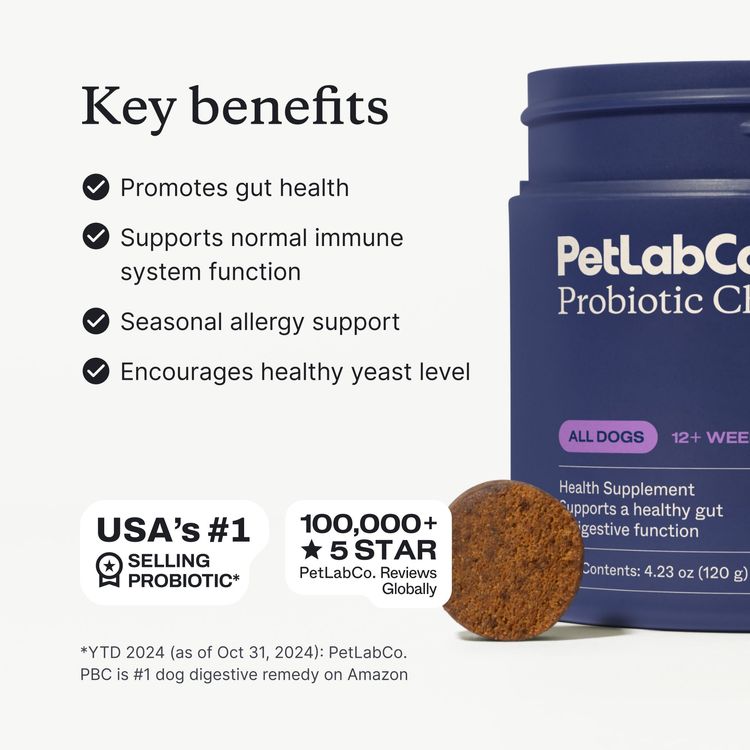 Probiotics for dogs – soft chews for gut & digestive health