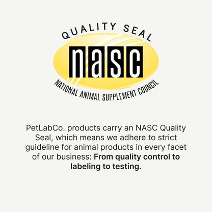 Probiotics for dogs – soft chews for gut & digestive health